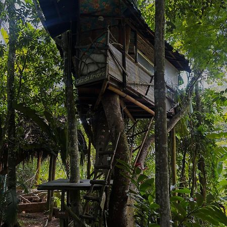 Sitio Simple Life Bed & Breakfast Ubatuba Exterior photo