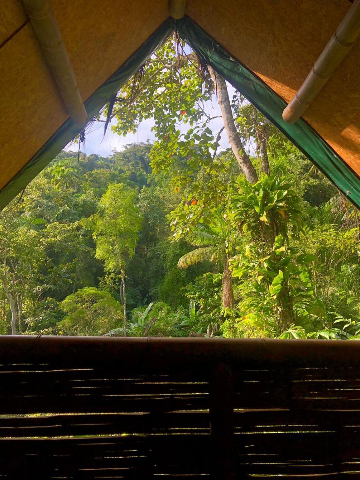 Sitio Simple Life Bed & Breakfast Ubatuba Exterior photo